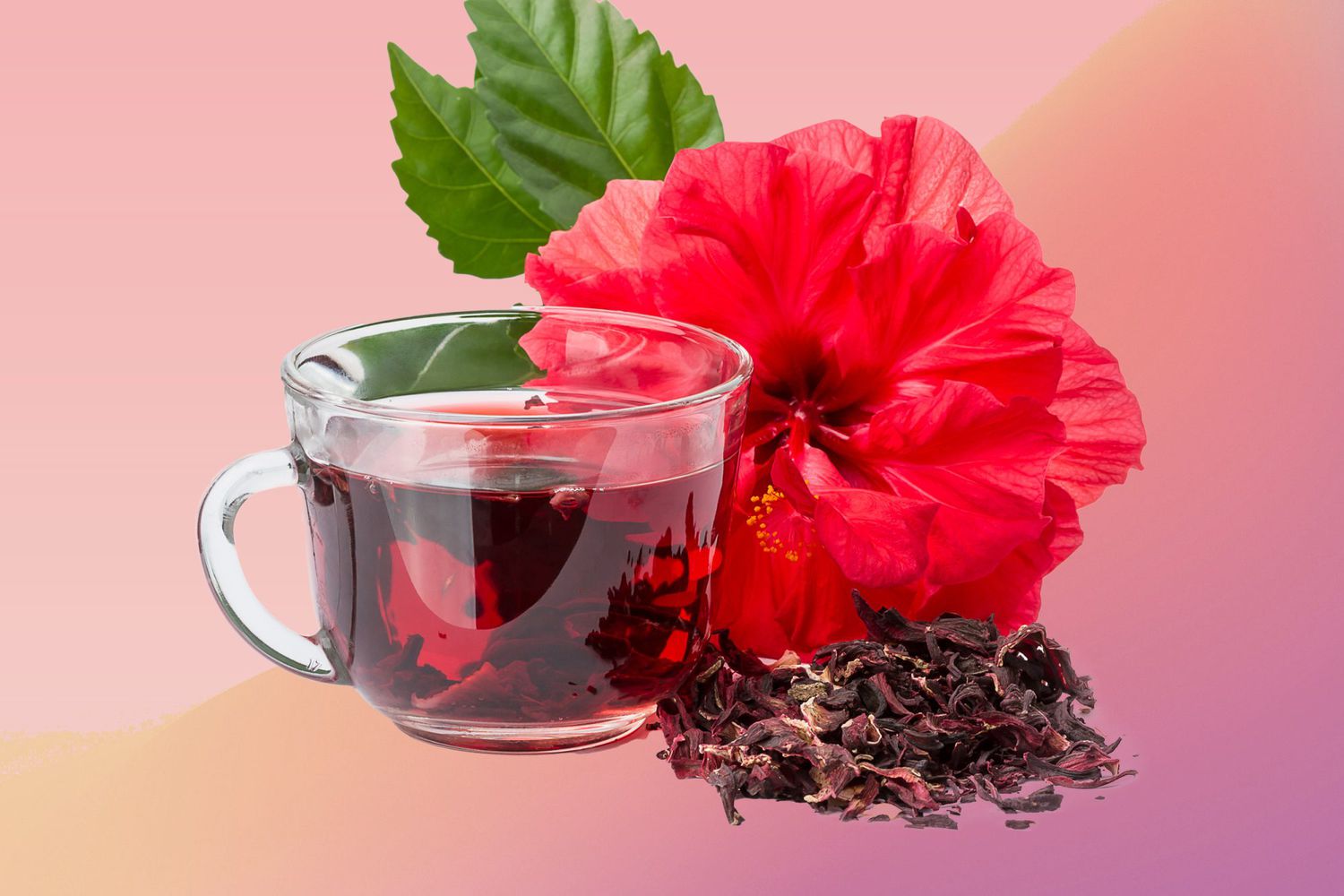 Hibiscus et perte de poids : bienfaits et usages minceur