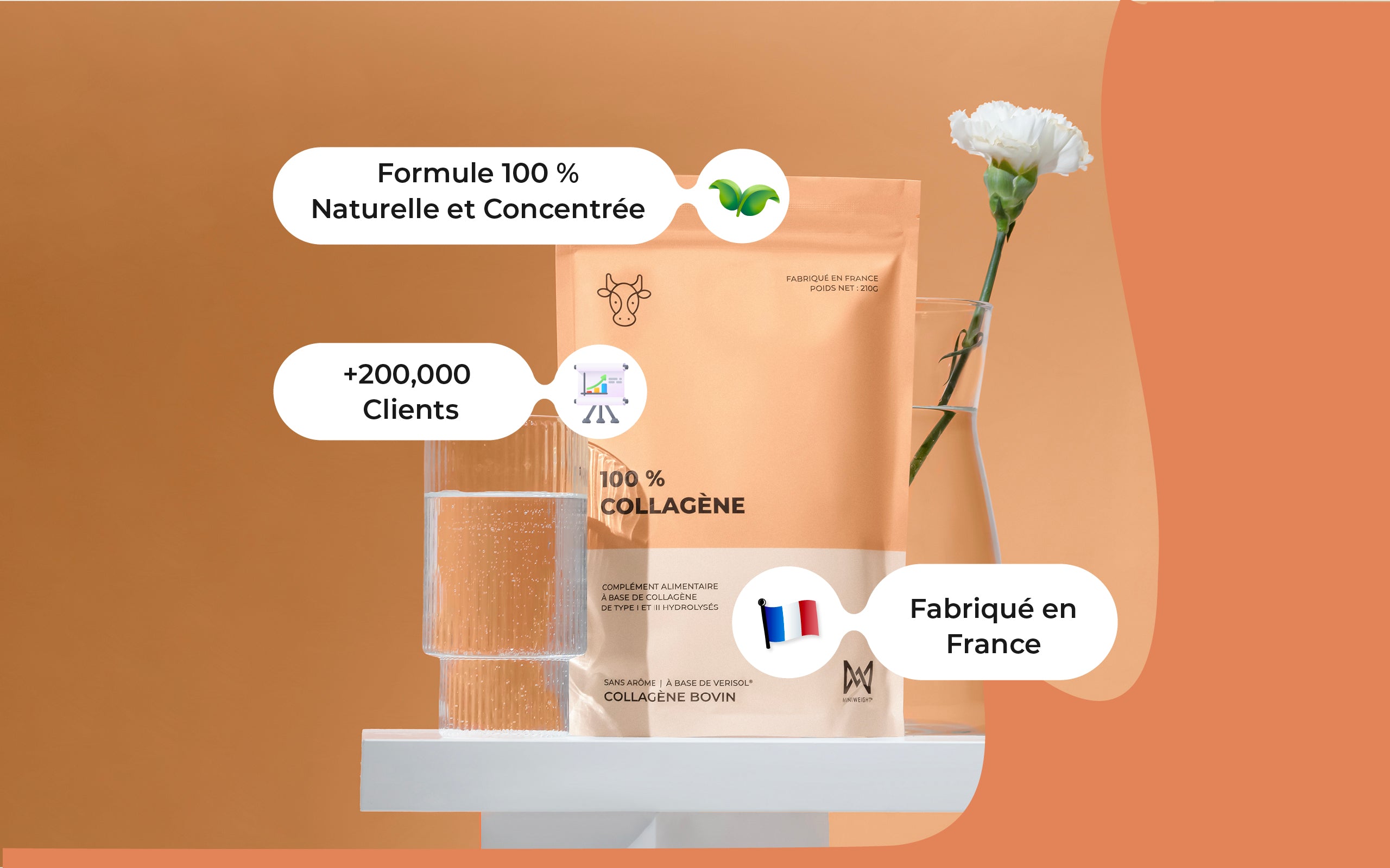 100 % Collagène Bovin